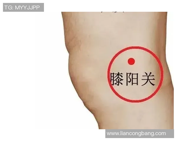 打篮球时膝盖疼痛的原因及预防措施分享